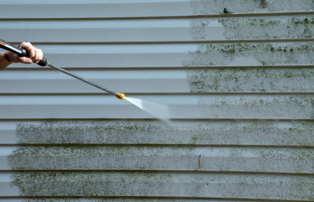 Best Driveway Pressure Washing  in Rio Hondo, TX